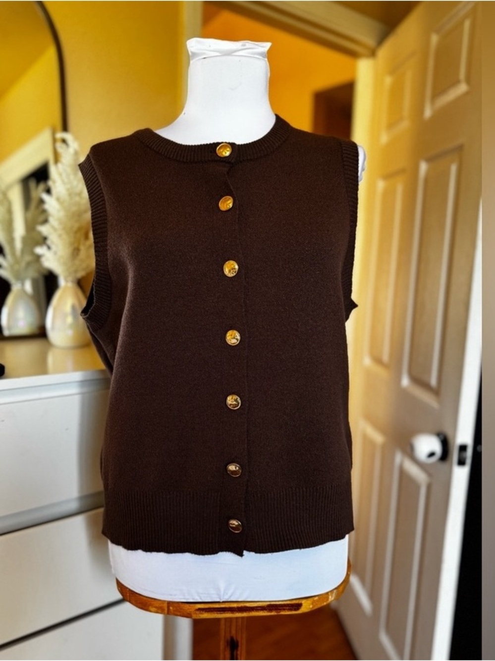 Sleeveless Button-Front Knit Vest in Dark Brown